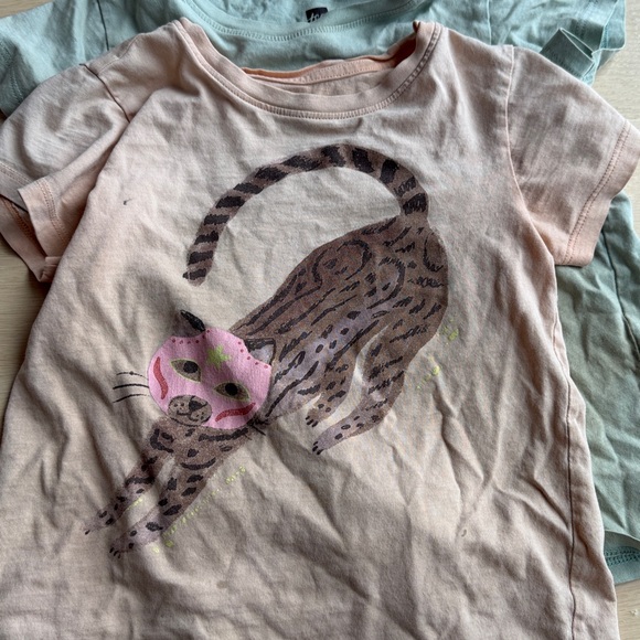 Tea Collection - Picture 5 of 6